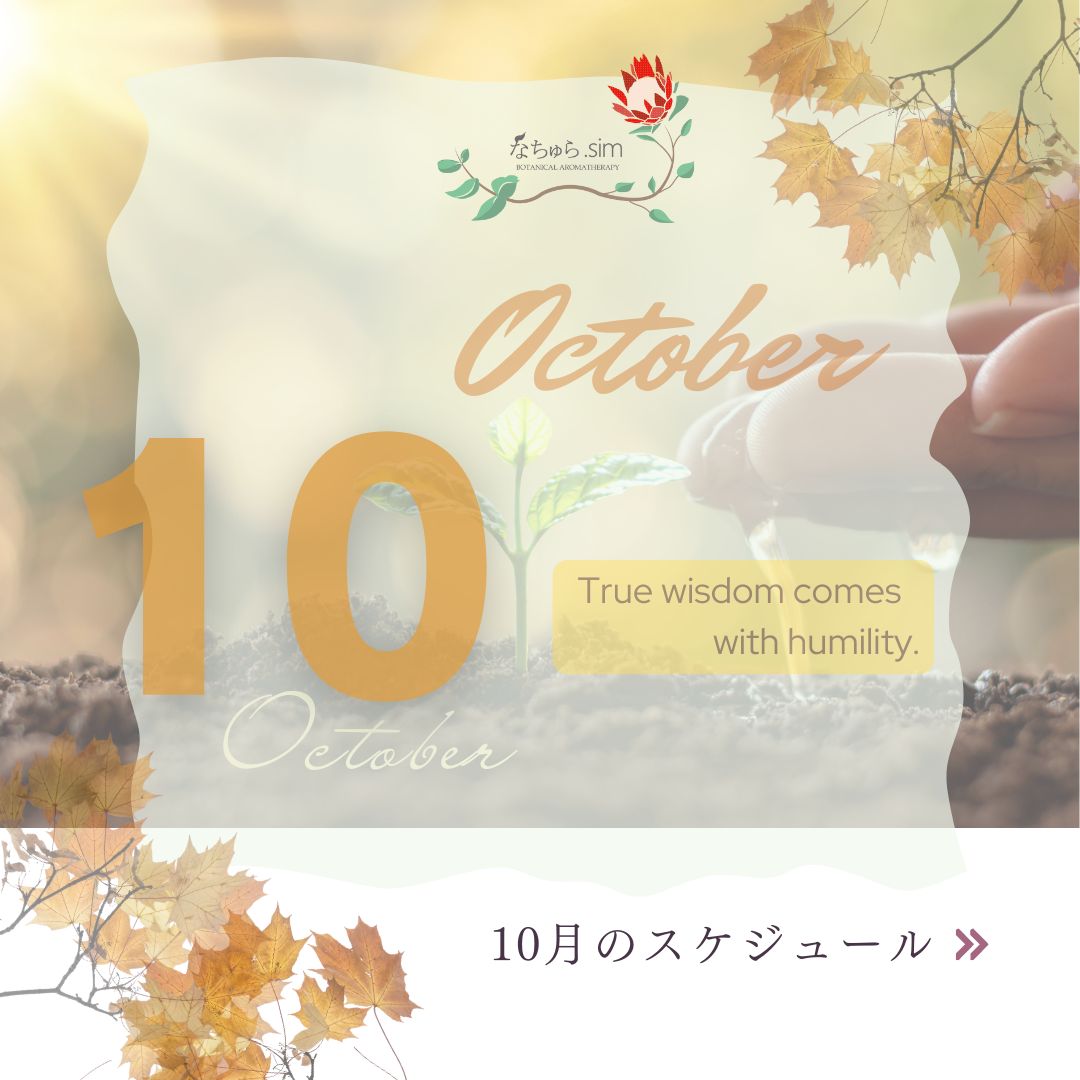 10月のスケジュール