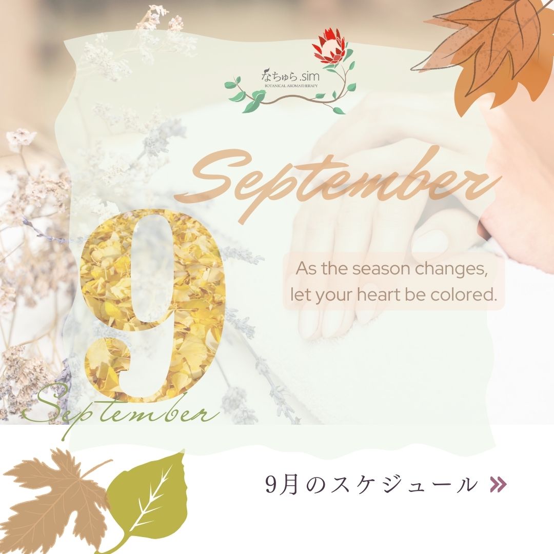 ９月のスケジュール