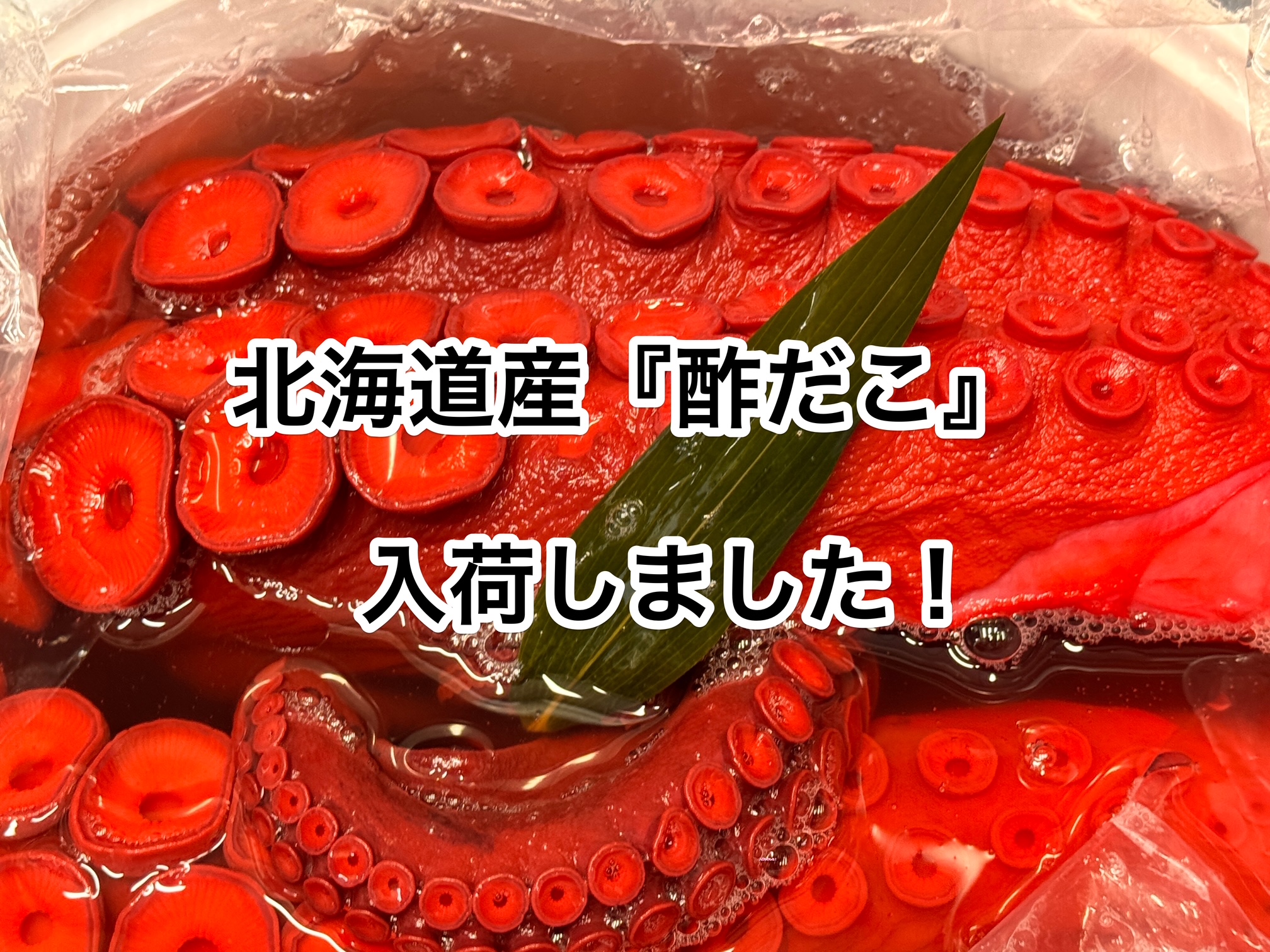 北海道産『酢だこ』入荷しました！
