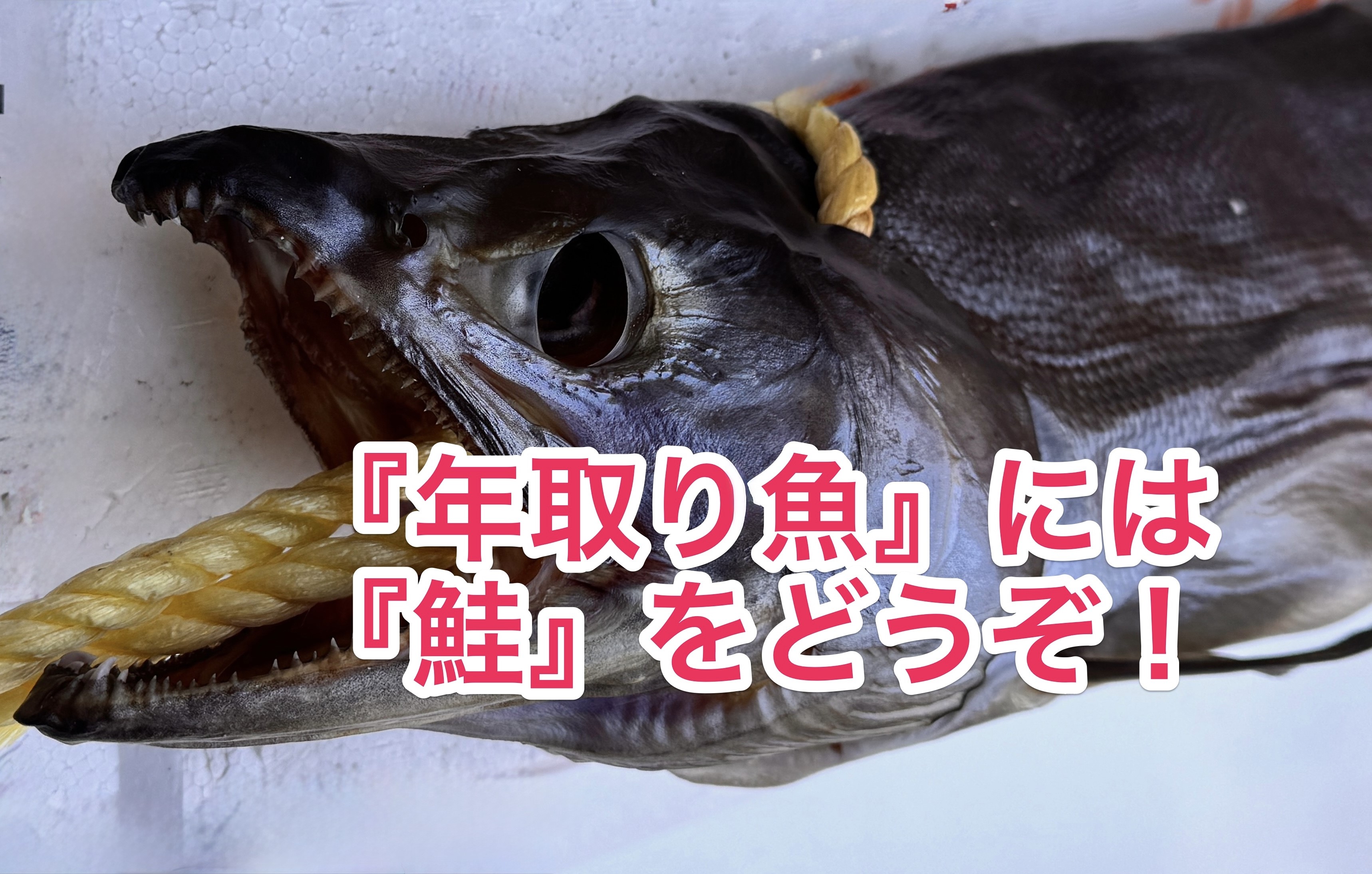 『年取り魚』には『鮭』を！