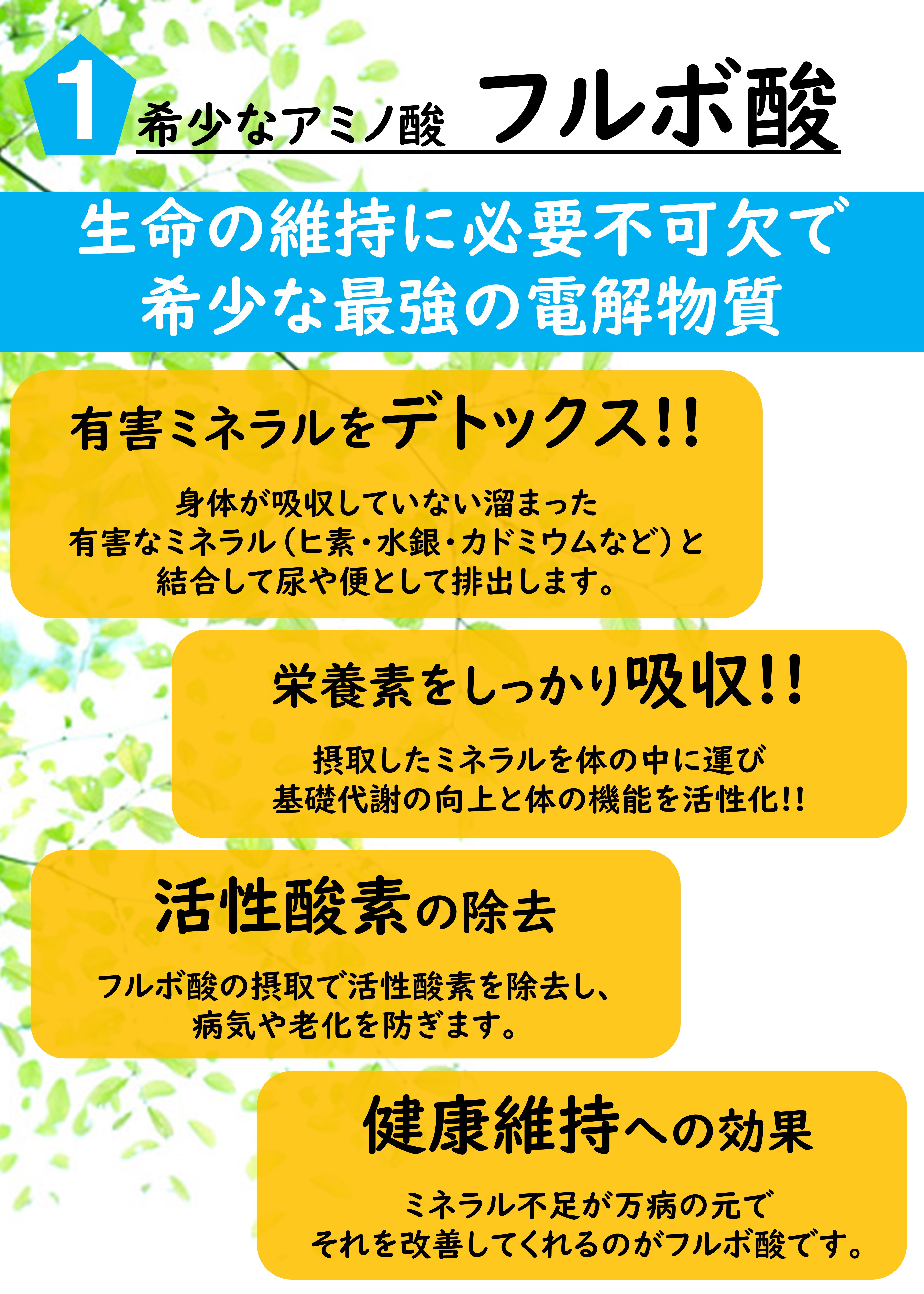 成分①:フルボ酸