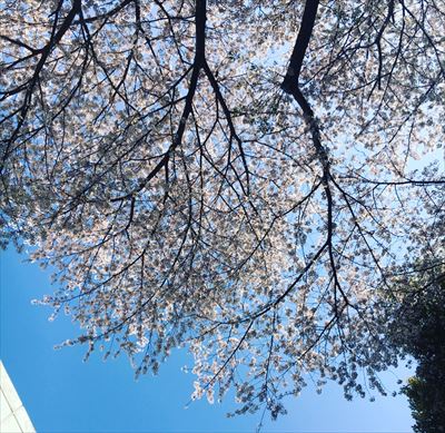 SPRING!!!!