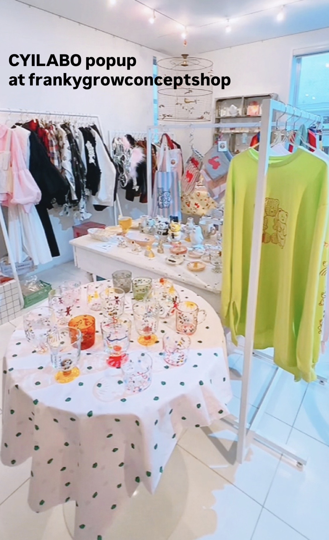 🐻CYILABO  POPUP repo🐻