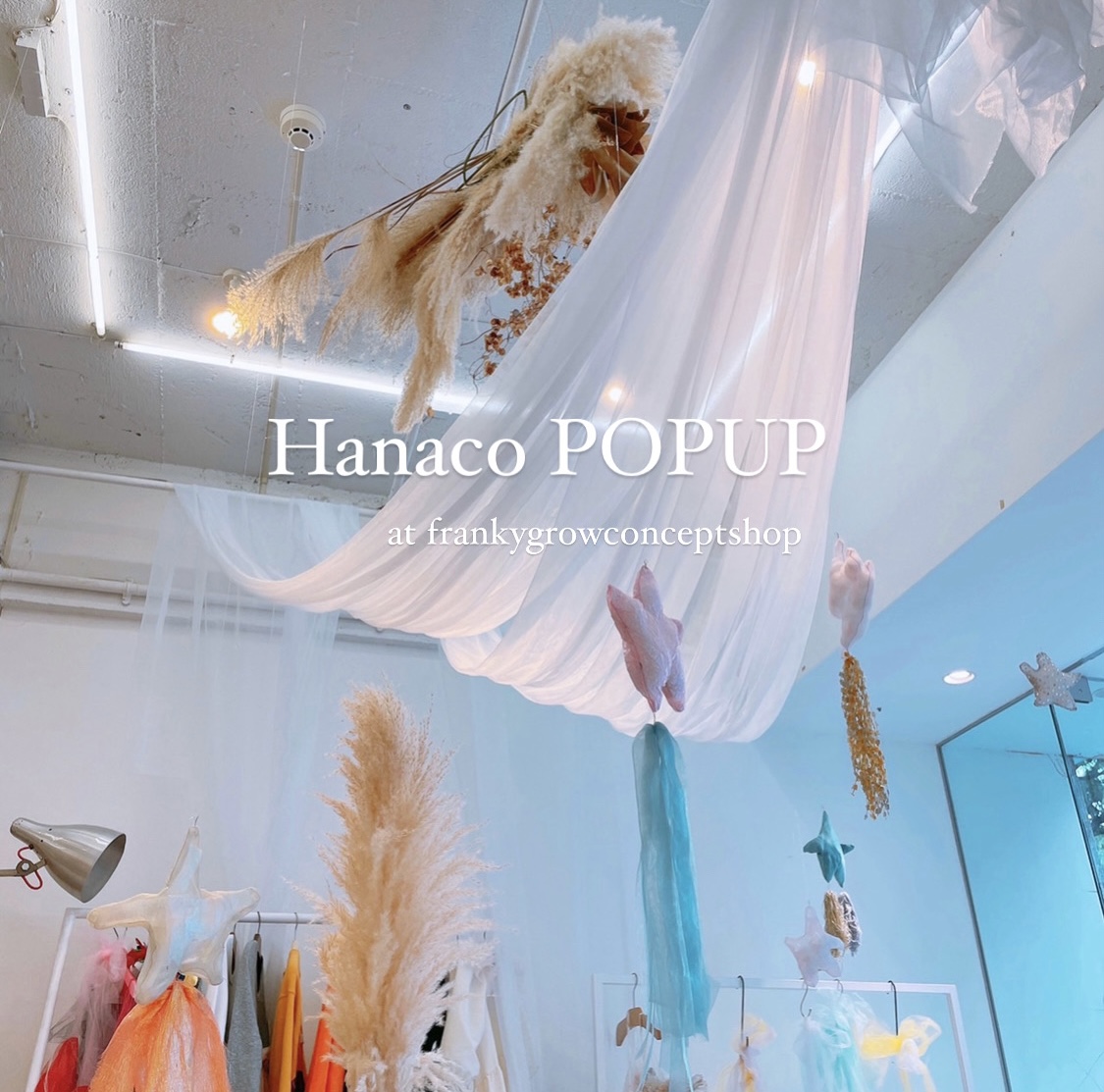 HanacoPOPUP at frankygrowconceptshop TOKYO&OSAKA ❶