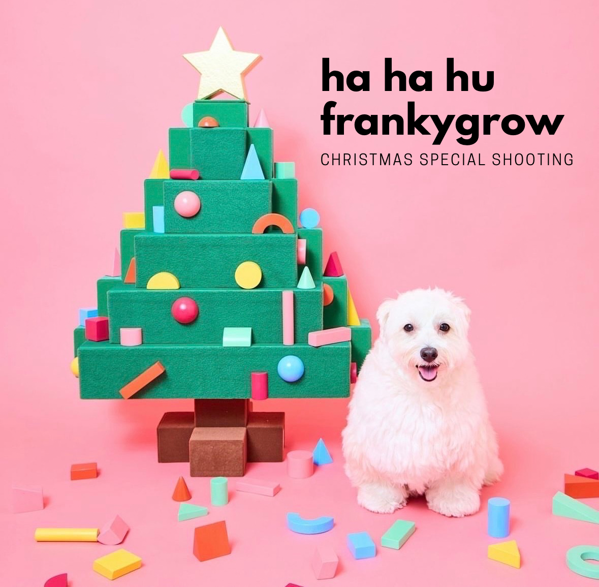 frankygrow×ハーハフーChristmas SPECIAL SHOOTING