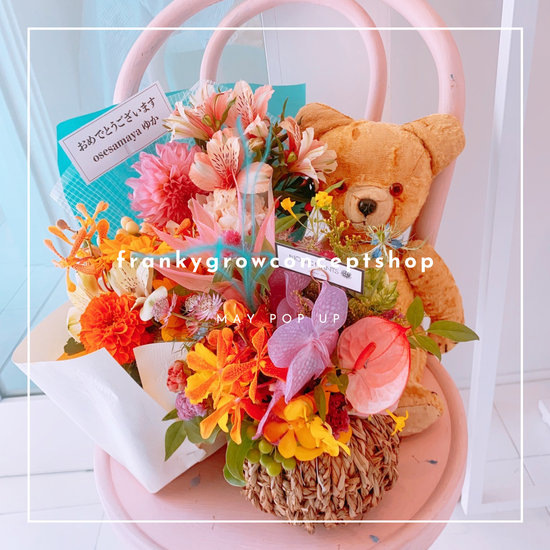 🧸frankygrowconceptshop OPEN🧸