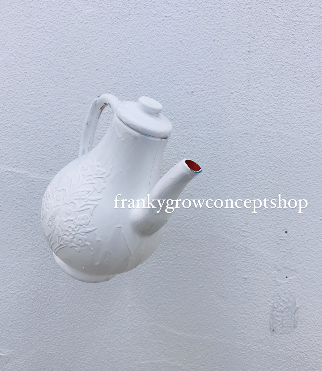 frankygrowconceptshop TOKYO