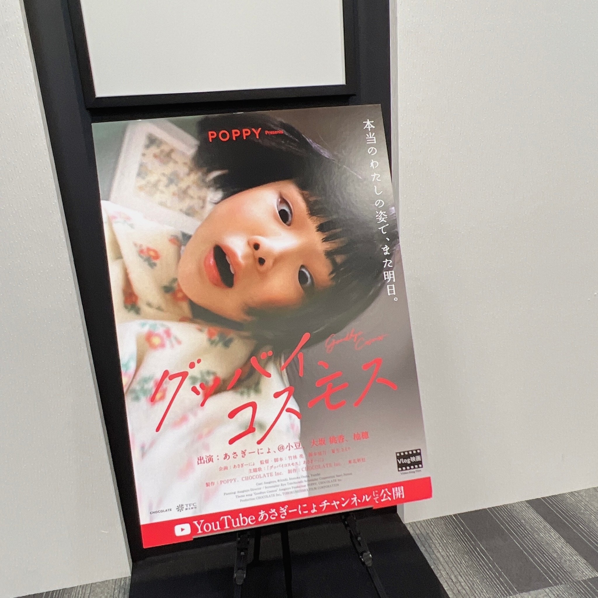 『グッバイ、コスモス』