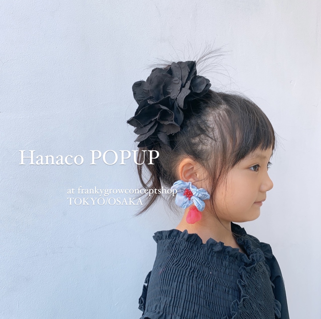 Hanaco POPUP repo 2