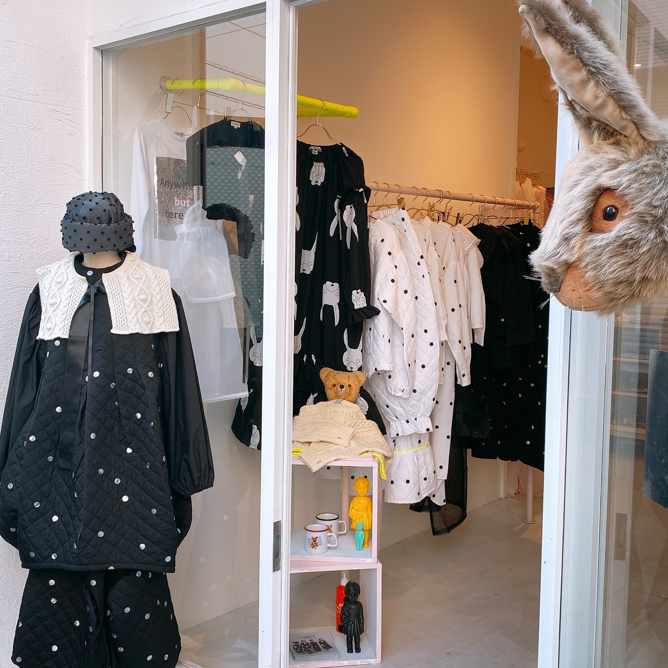 frankygrow consept shop OSAKA  🐰🐼