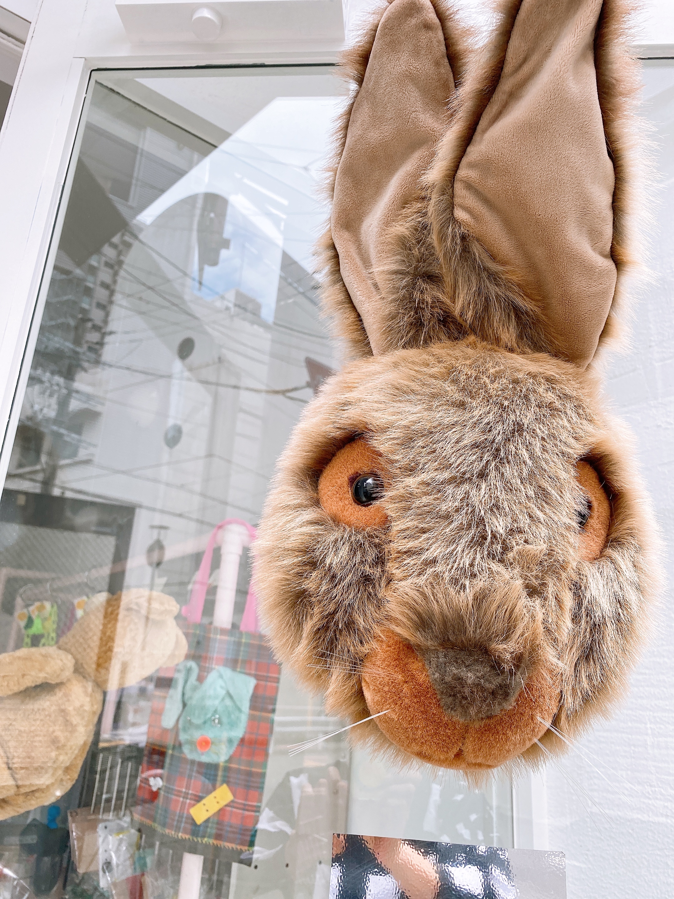 frankygrow conseptshop  OSAKA