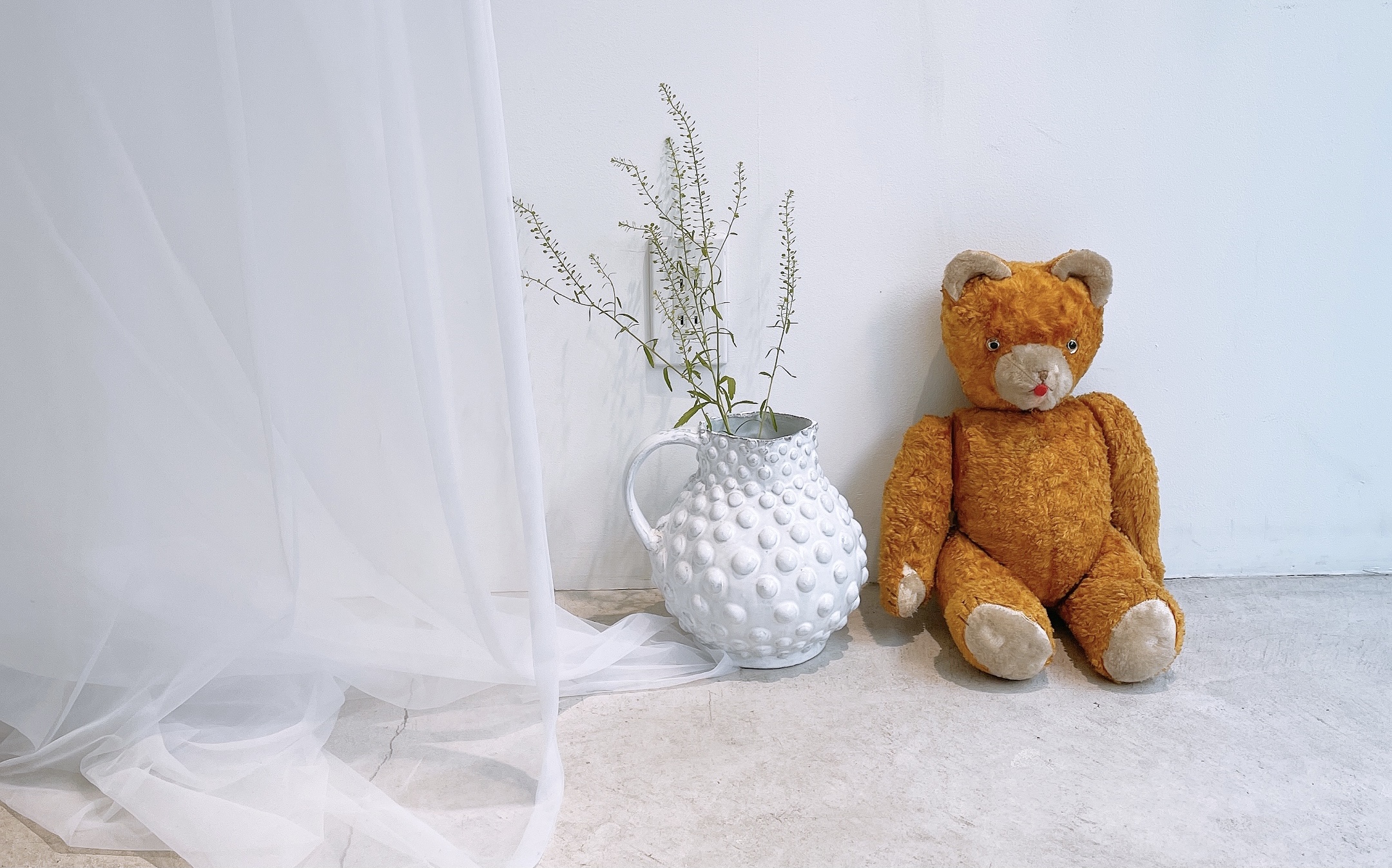 frankygrow conceptshop TOKYO
