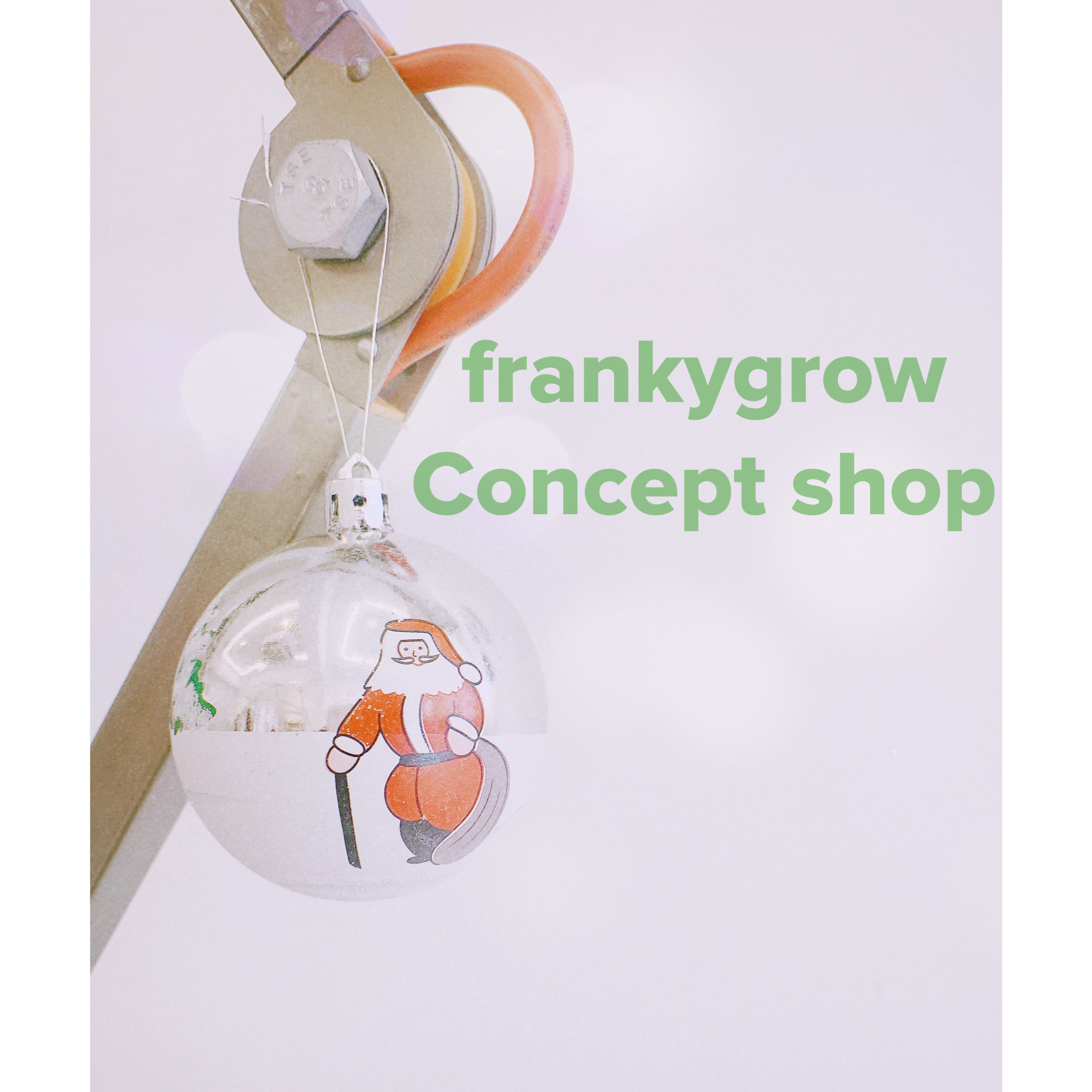 🧸frankygrow concept shop TOKYO🧸🎄