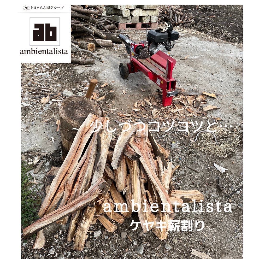 2022/02/19 コツコツとケヤキ薪割り Instagram