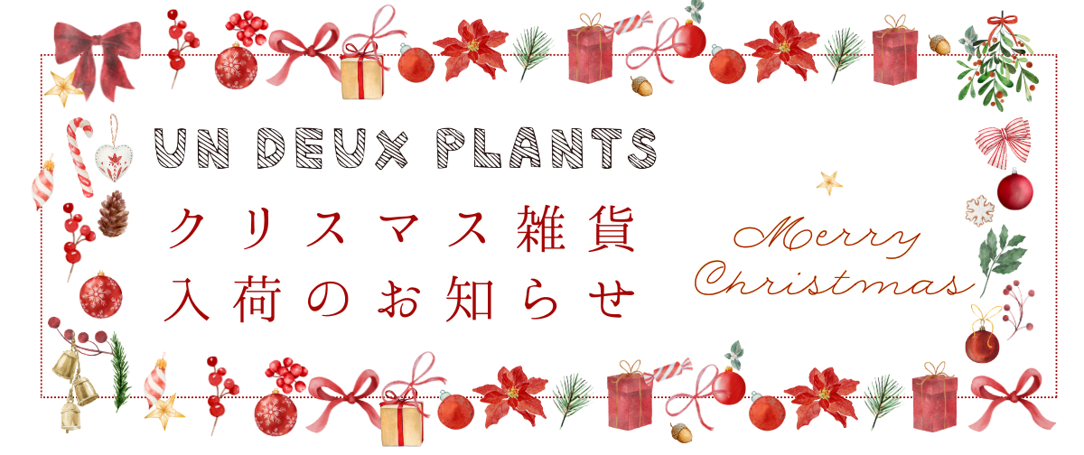 心ときめくクリスマス雑貨&オーナメントが入荷!