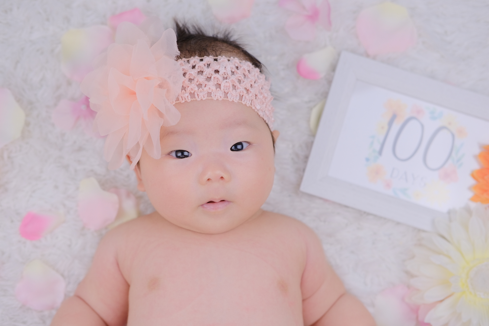 100日フォトのご依頼ありがとうございます！
