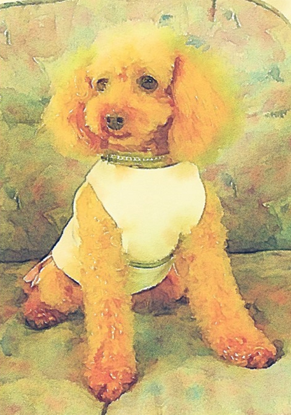 作品例　🐕トイプードル🐕　ペットのベストショットでお部屋を飾りませんか？