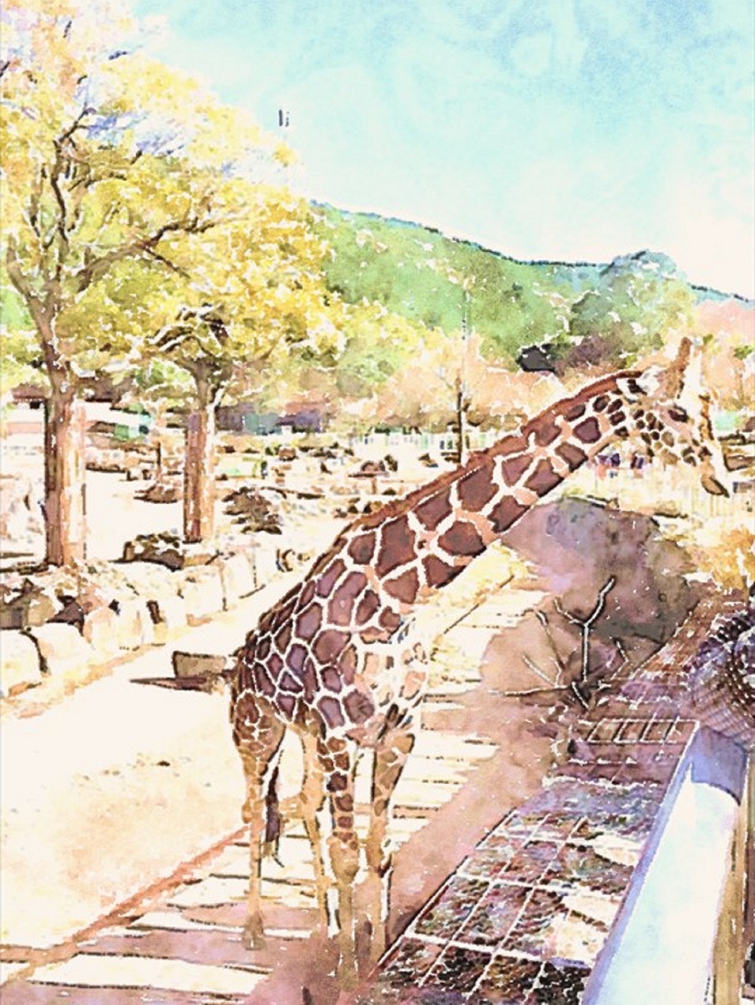 作品例 🦒キリンの首はなぜ長い🦒 あなたのプロフィール画像を水彩画風にしてみませんか?