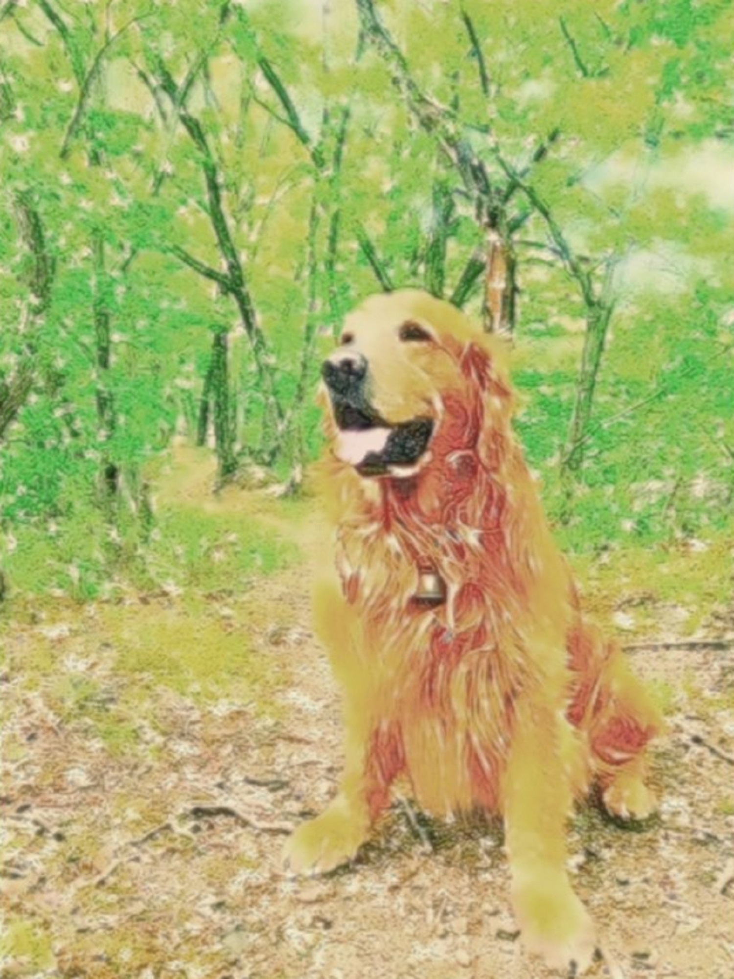 作品例　✴️ゼウス降臨☀　愛犬との想い出をいつもそばに。