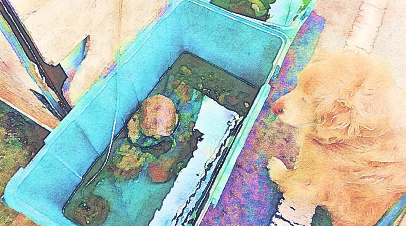 作品例 🐕犬と亀🐢 お友だちへのプレゼントに水彩画キャンバスアートはいかがですか?