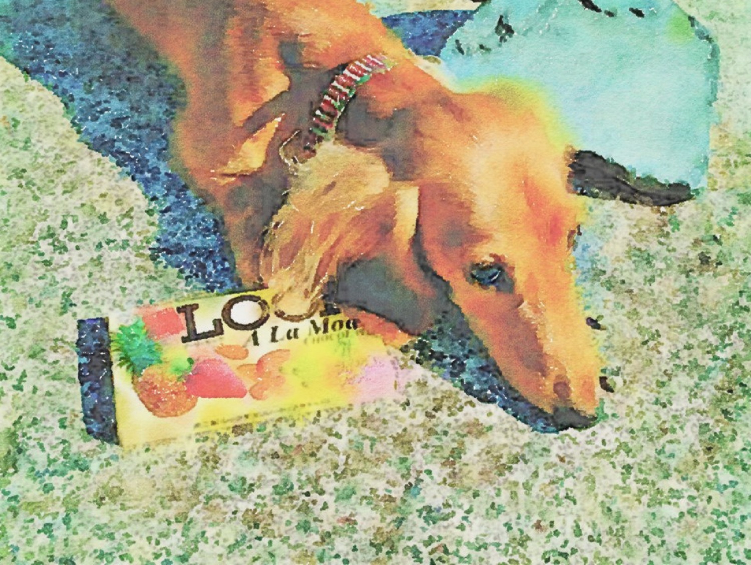 作品例　🐕４つの味は何がいい？🐕　家族になったら永遠に家族。 いつもそばに。見つめられる場所に。