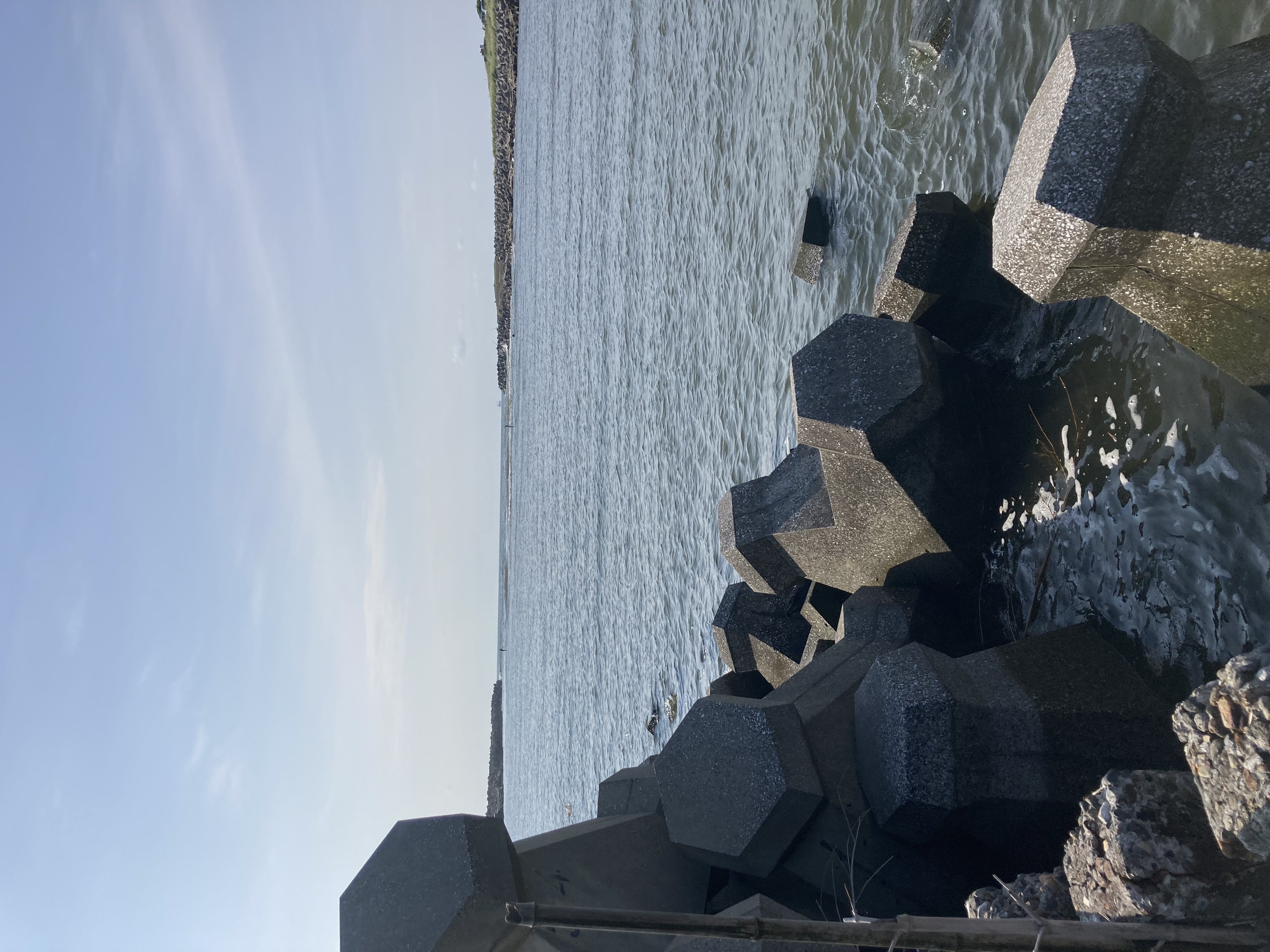 釣り