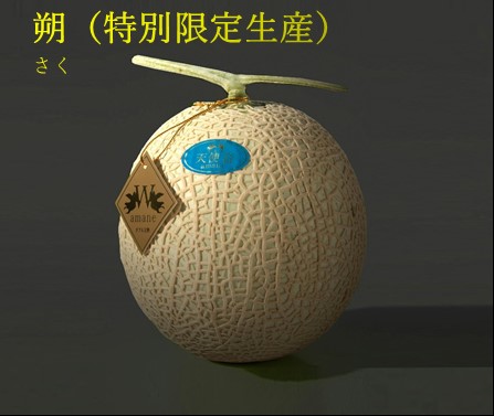 特別限定販売【朔】が入荷しました❗❗