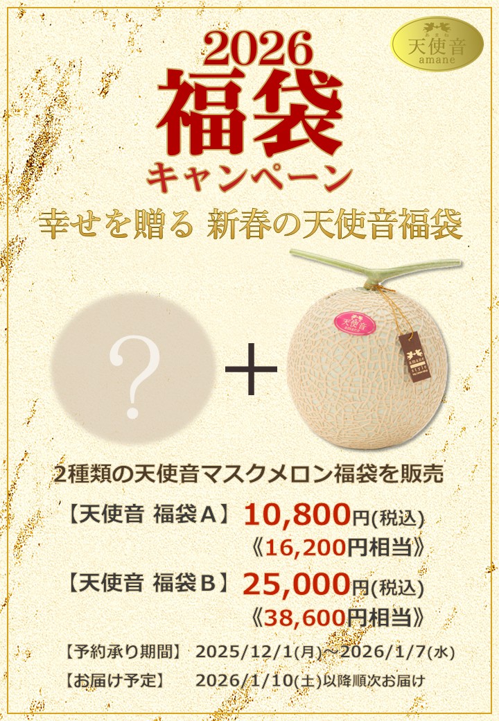 【福袋キャンペーンのご案内】