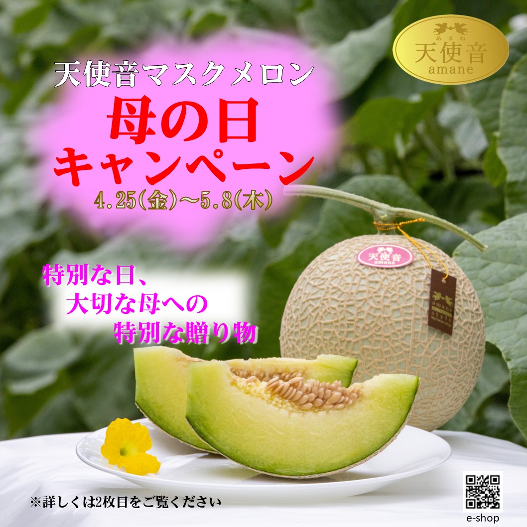 母の日キャンペーンのお知らせ💝