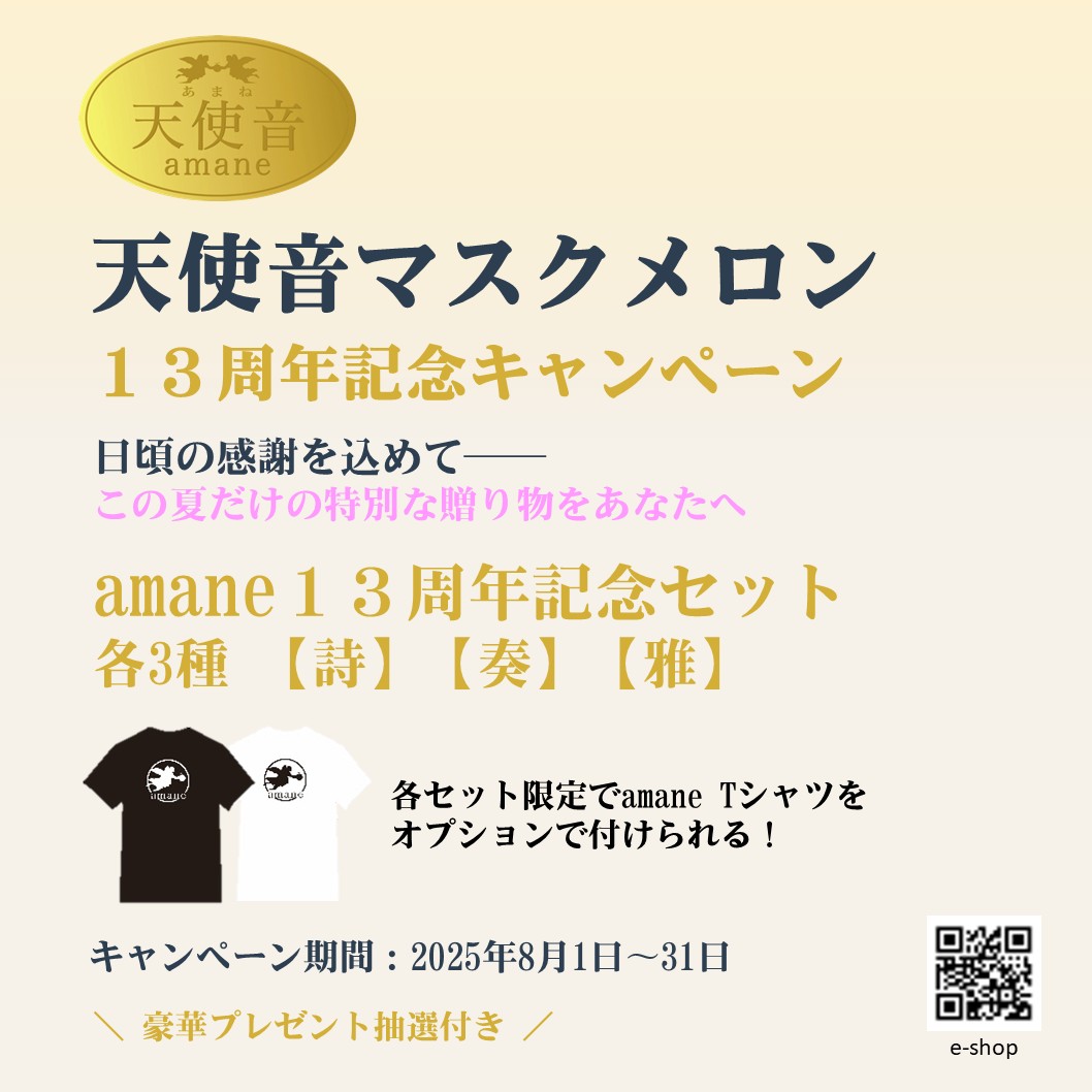 13周年の感謝を込めて、特別な記念セットをご用意しました