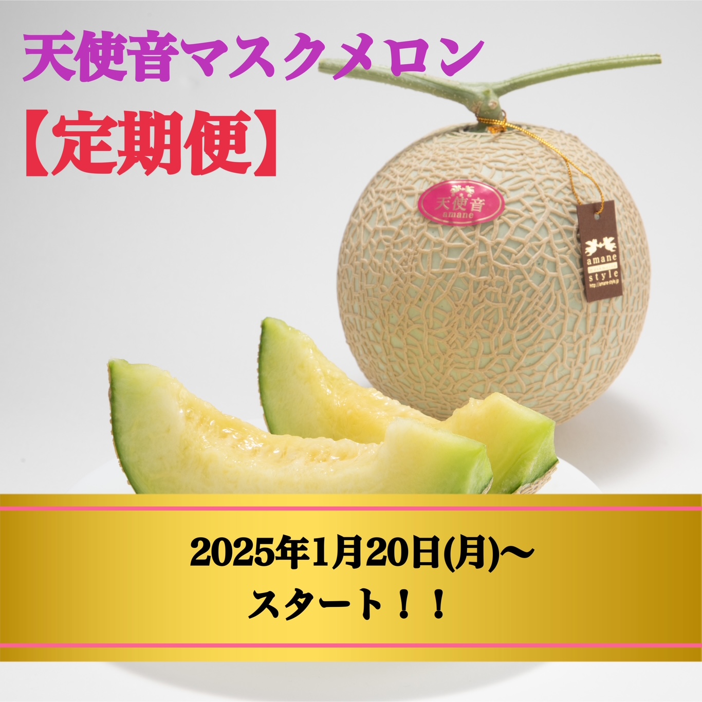 天使音マスクメロン【定期便】はじまります🍈