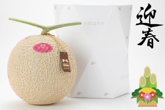 新年のご挨拶🎍