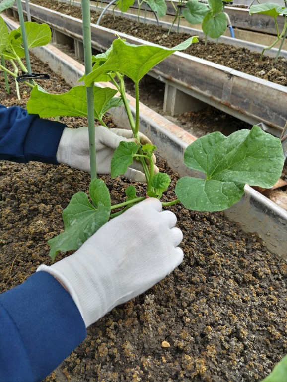 はじめまして！