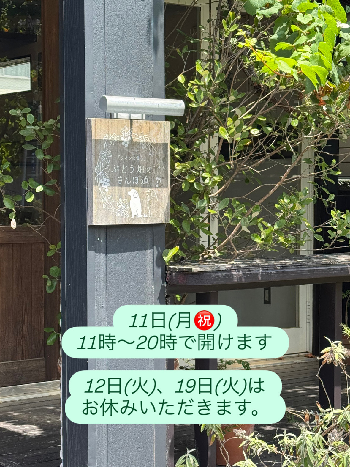 8月11日(月祝日)開けます。