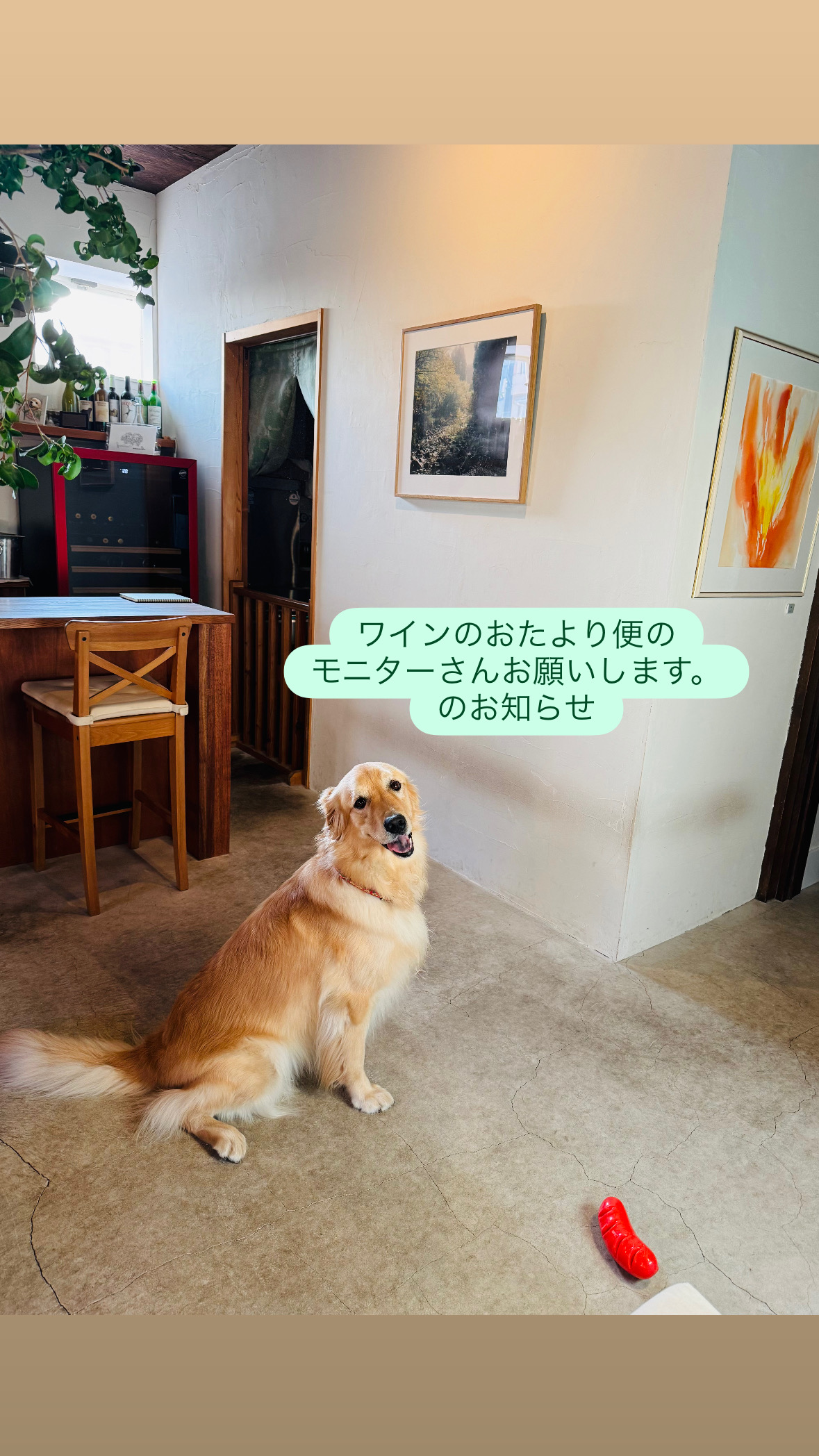 ワインのおたより便のモニターさん、お願いします。