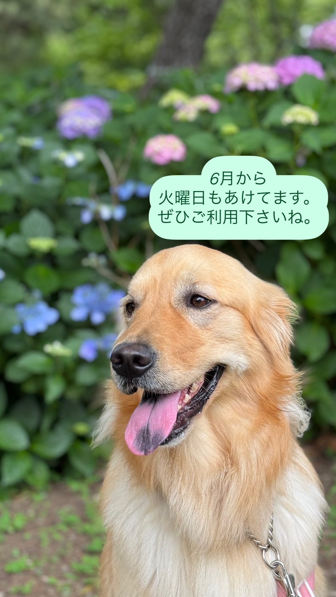 火曜日もあけてます。