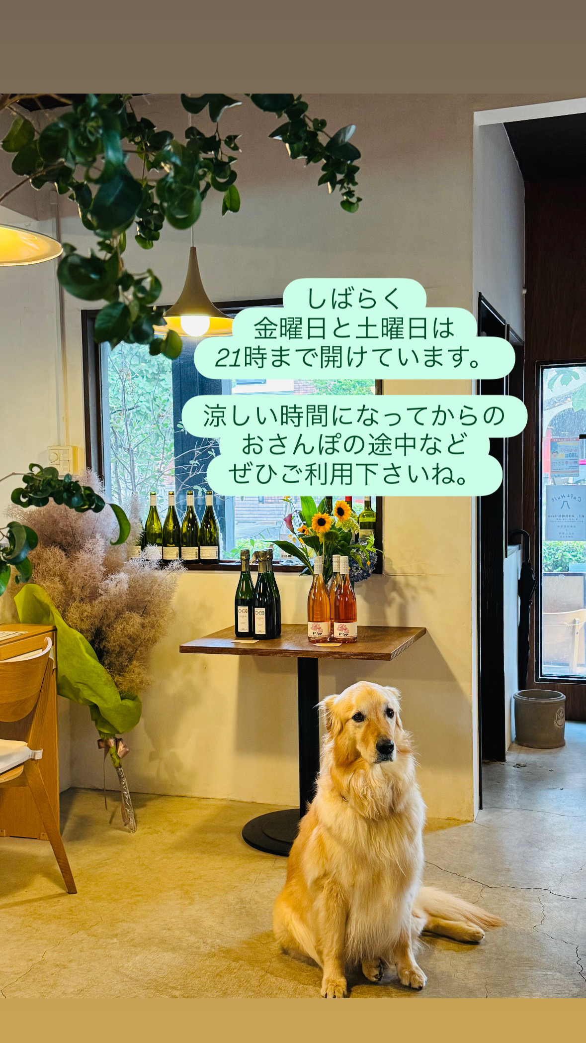 金曜日と土曜日は21時までオープンします