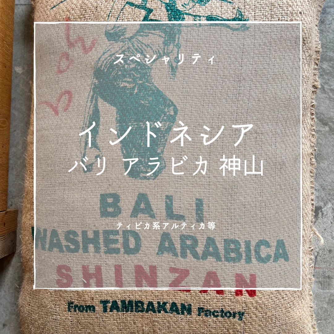 🌱✨ インドネシア バリ アラビカ 神山のコーヒー豆をご紹介！ ✨🌱