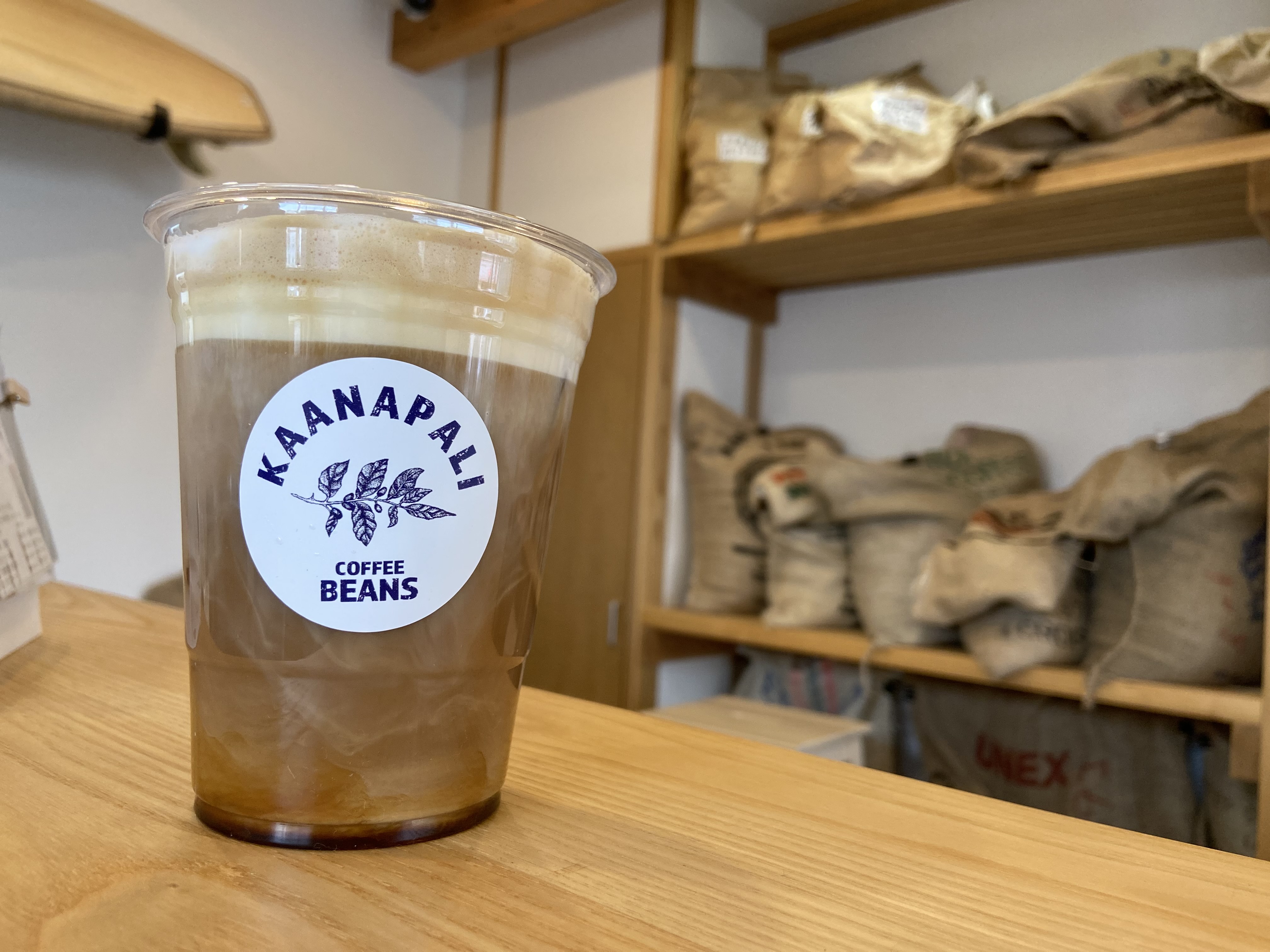 本日限定！カプチーノLサイズ半額のお知らせ☕️