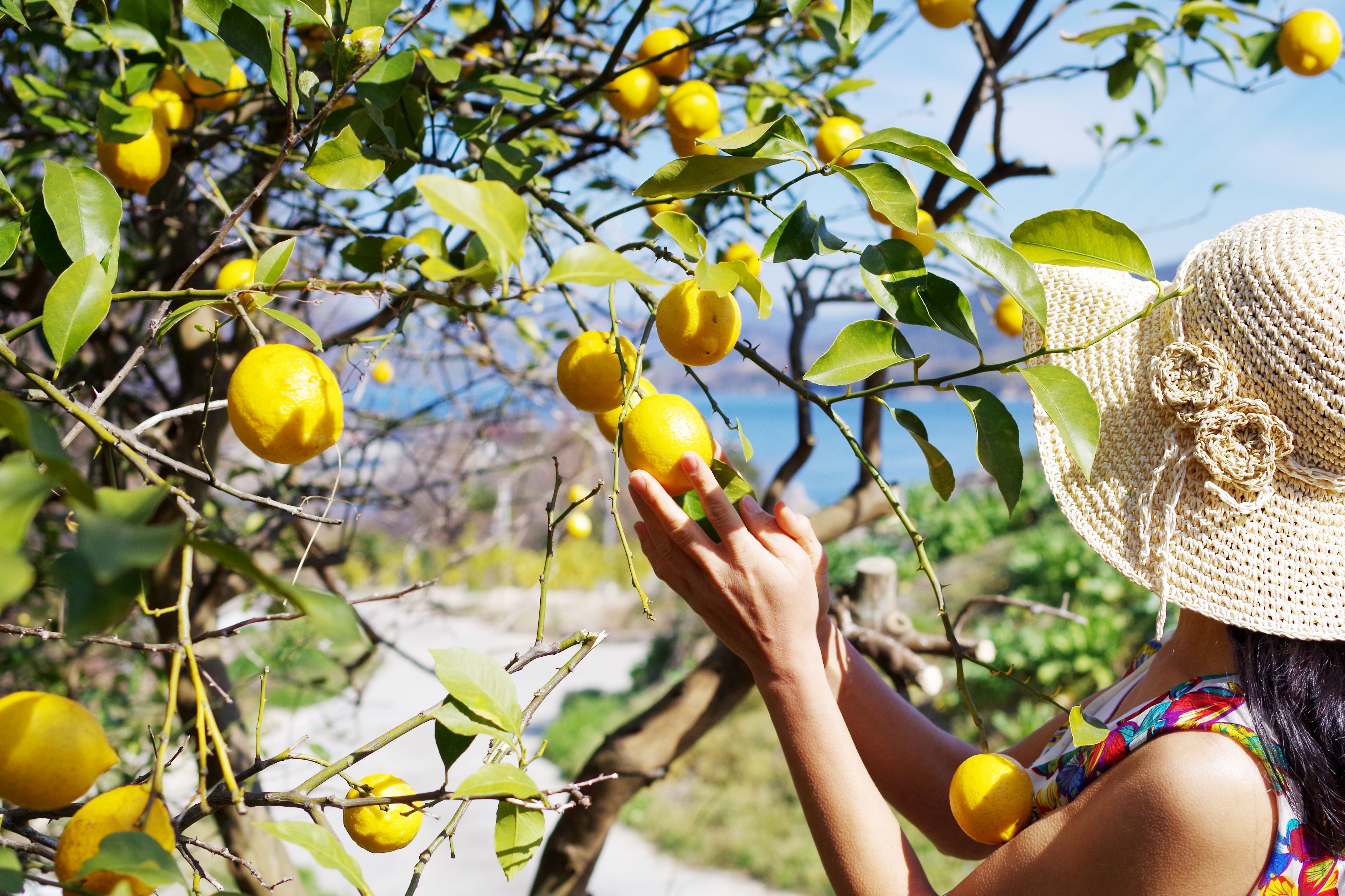 一人でできることと、できないこと