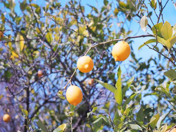 今は、仕込みの時間だと思っています