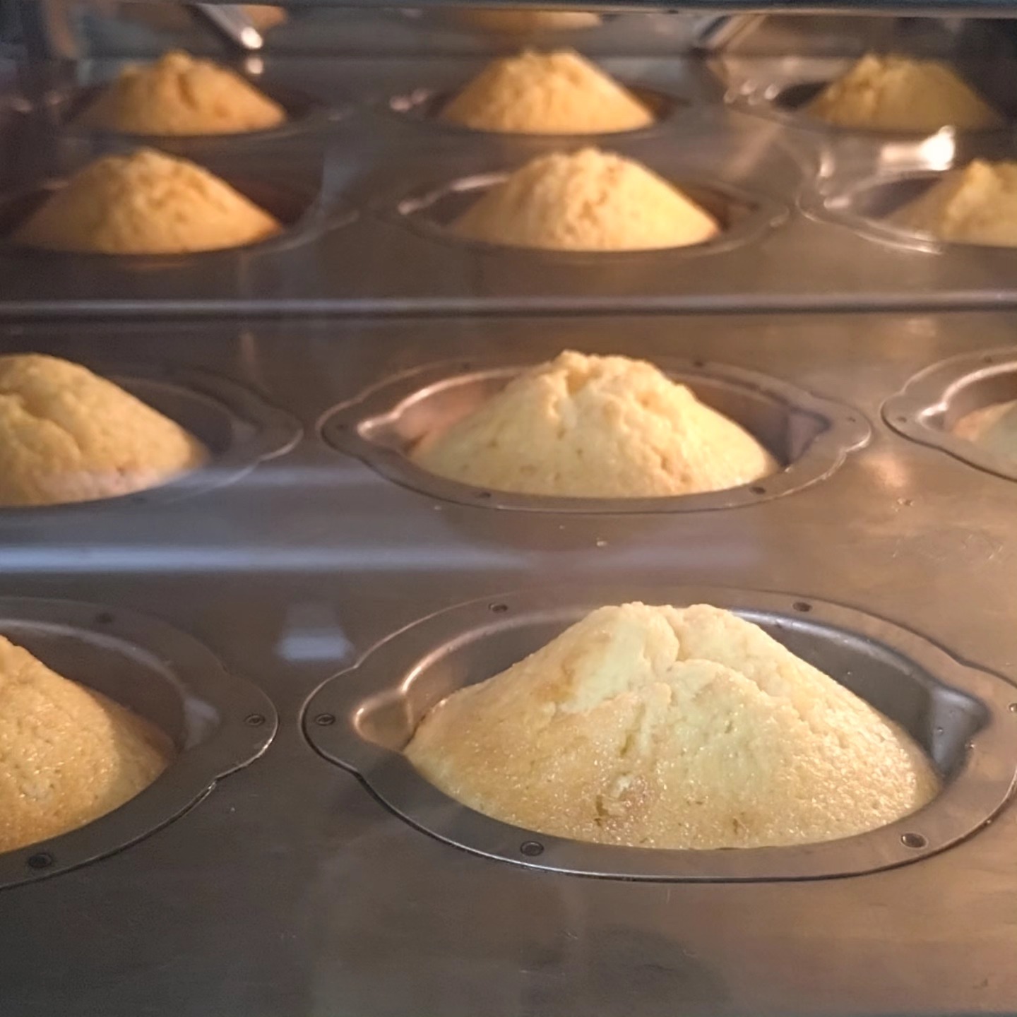 畑に行けない時間が教えてくれたこと