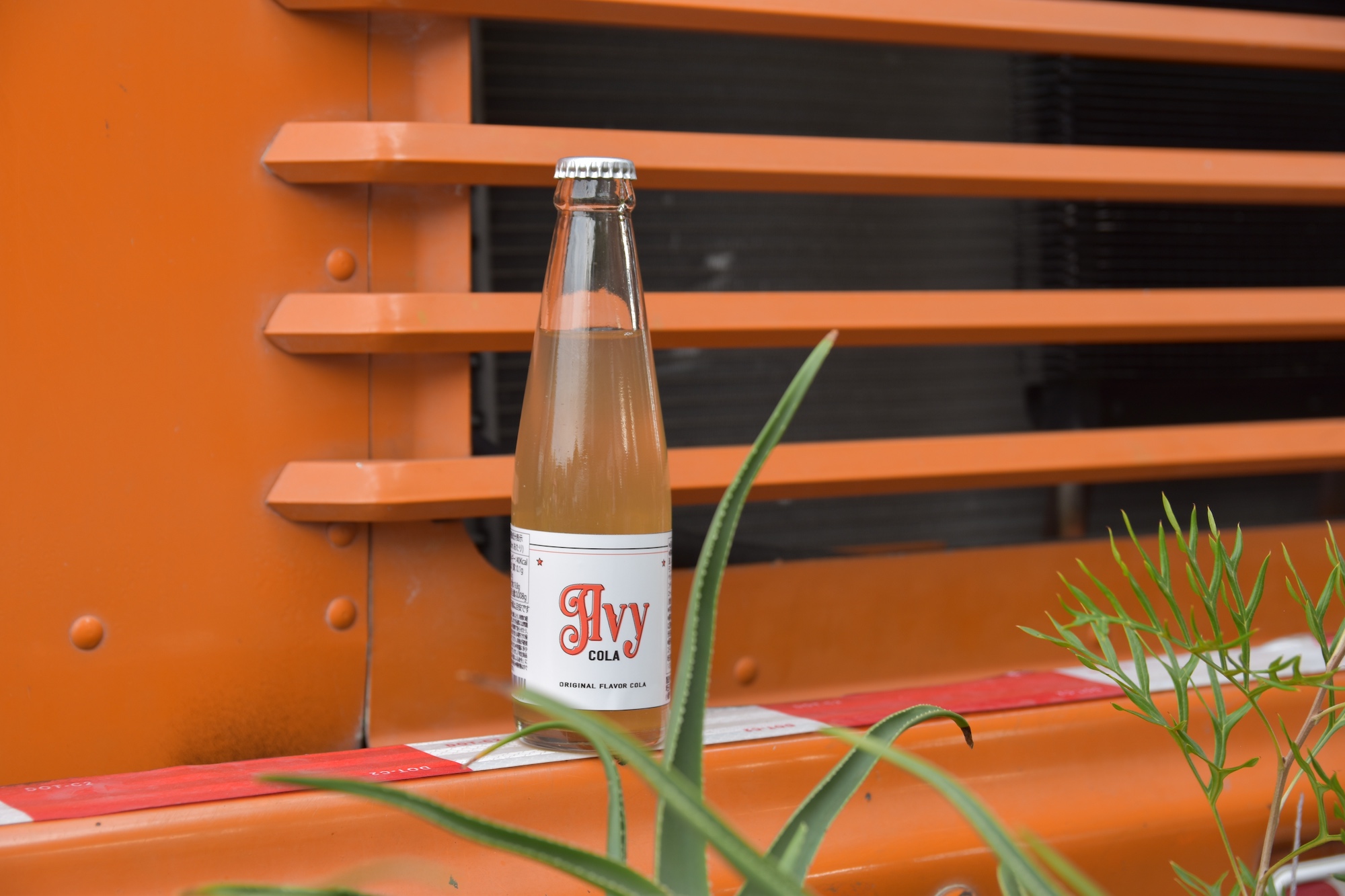 Avy  Cola ついに完成！12月1日より販売開始いたします。