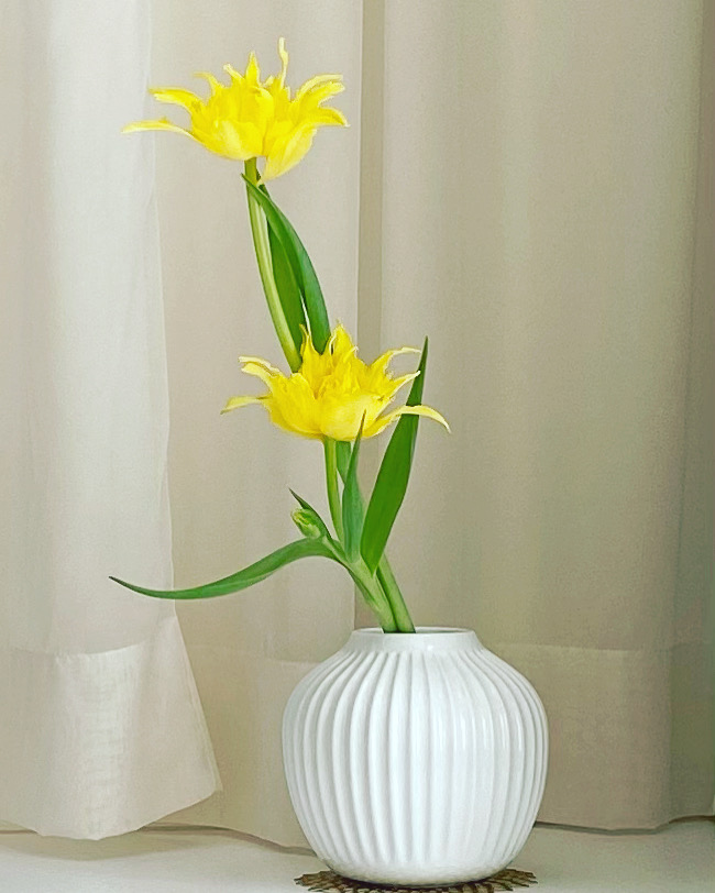 春に向かってますね♡