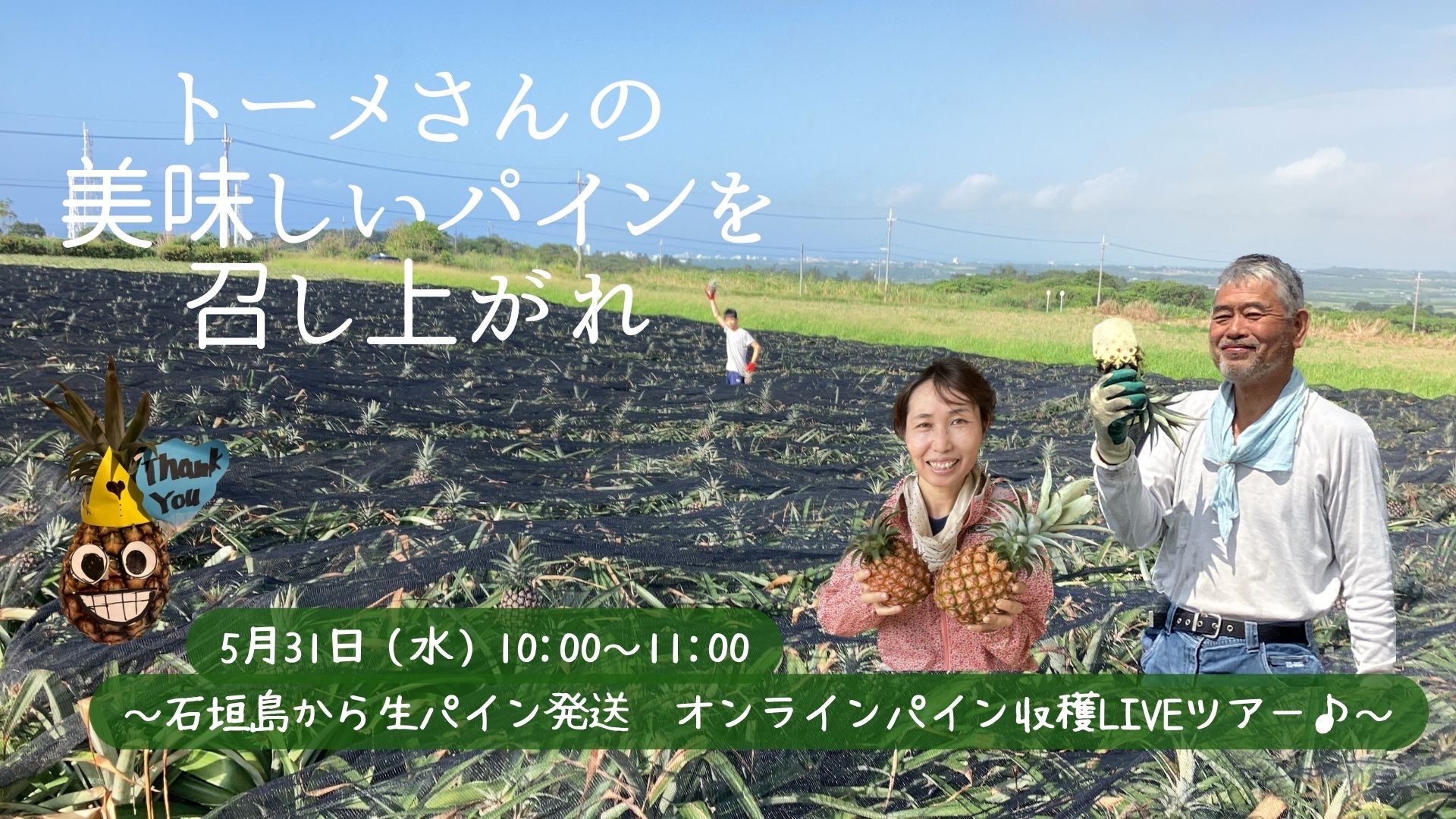 「トーメさんの美味しいパインを召し上がれ」オンラインイベント