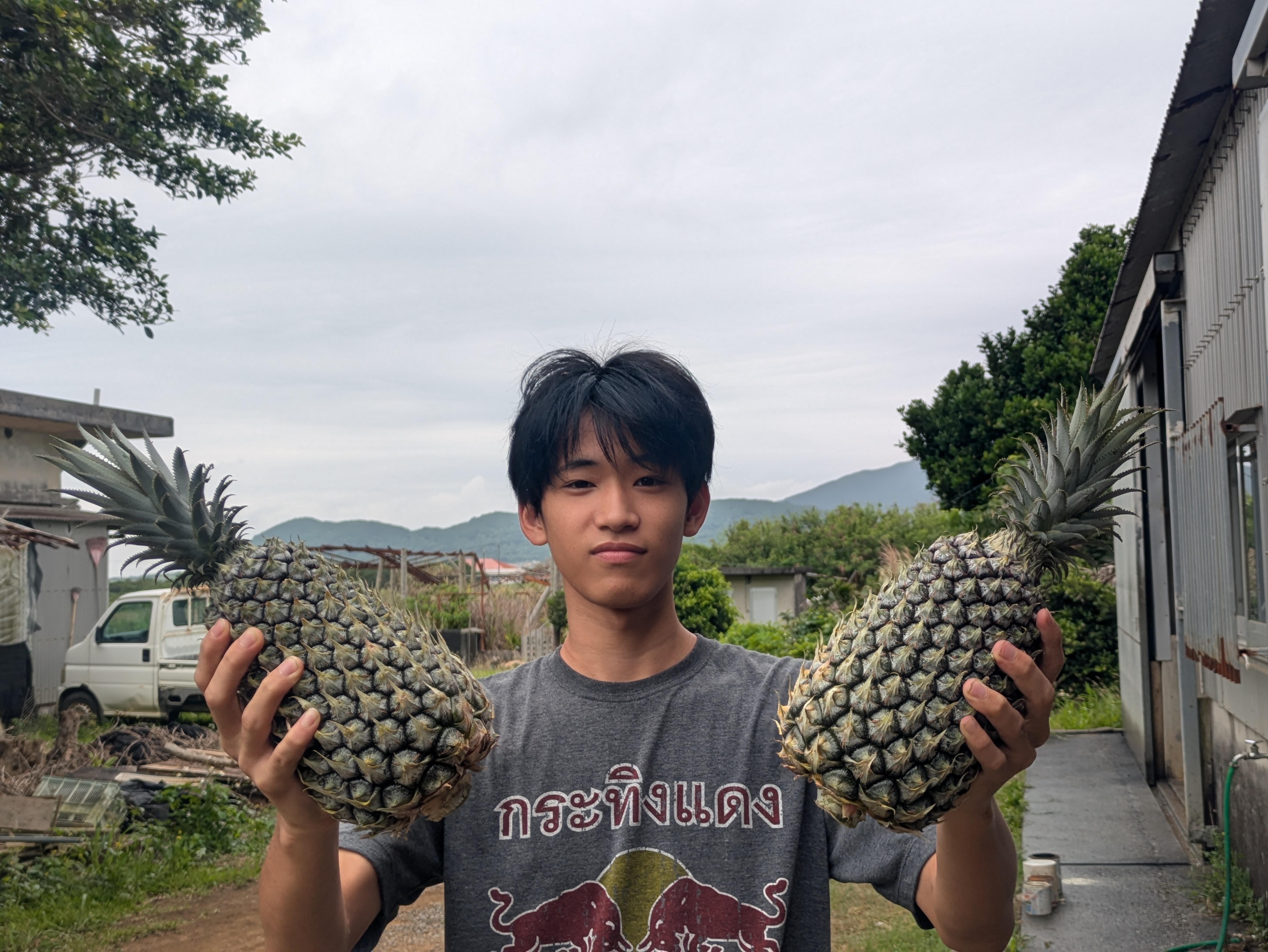 ピーチパインの販売は終了しました(* ᴗ͈ˬᴗ͈)”