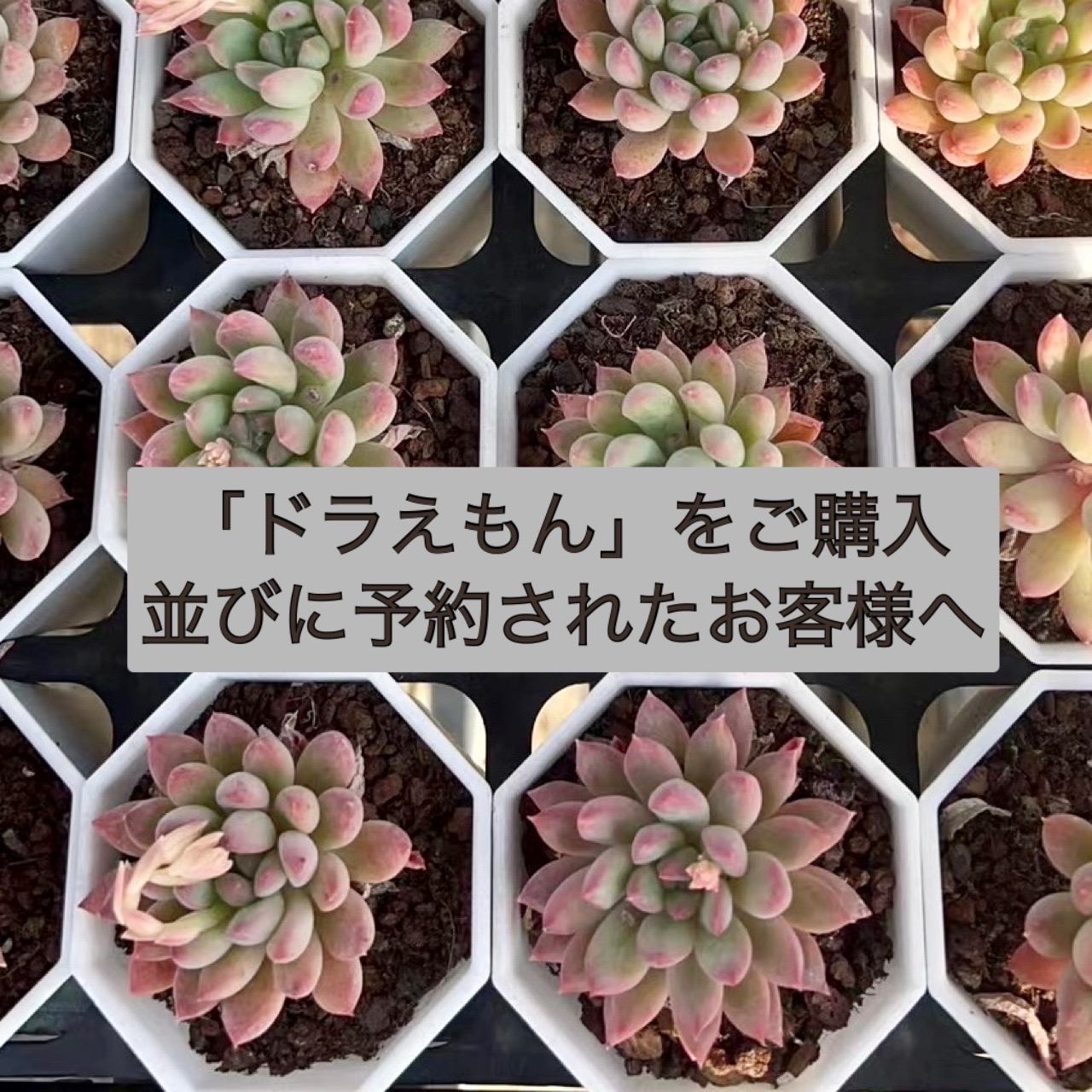 ドラえもんをご購入並びにご予約されました顧客さまへ