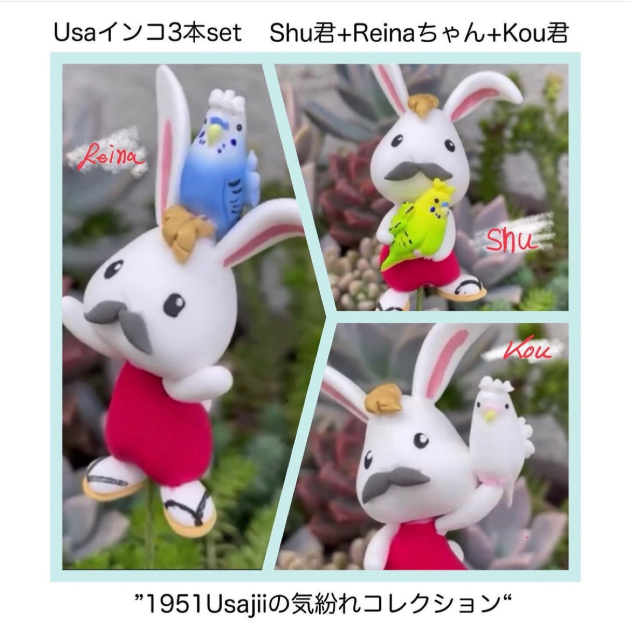 うさインコピックについて
