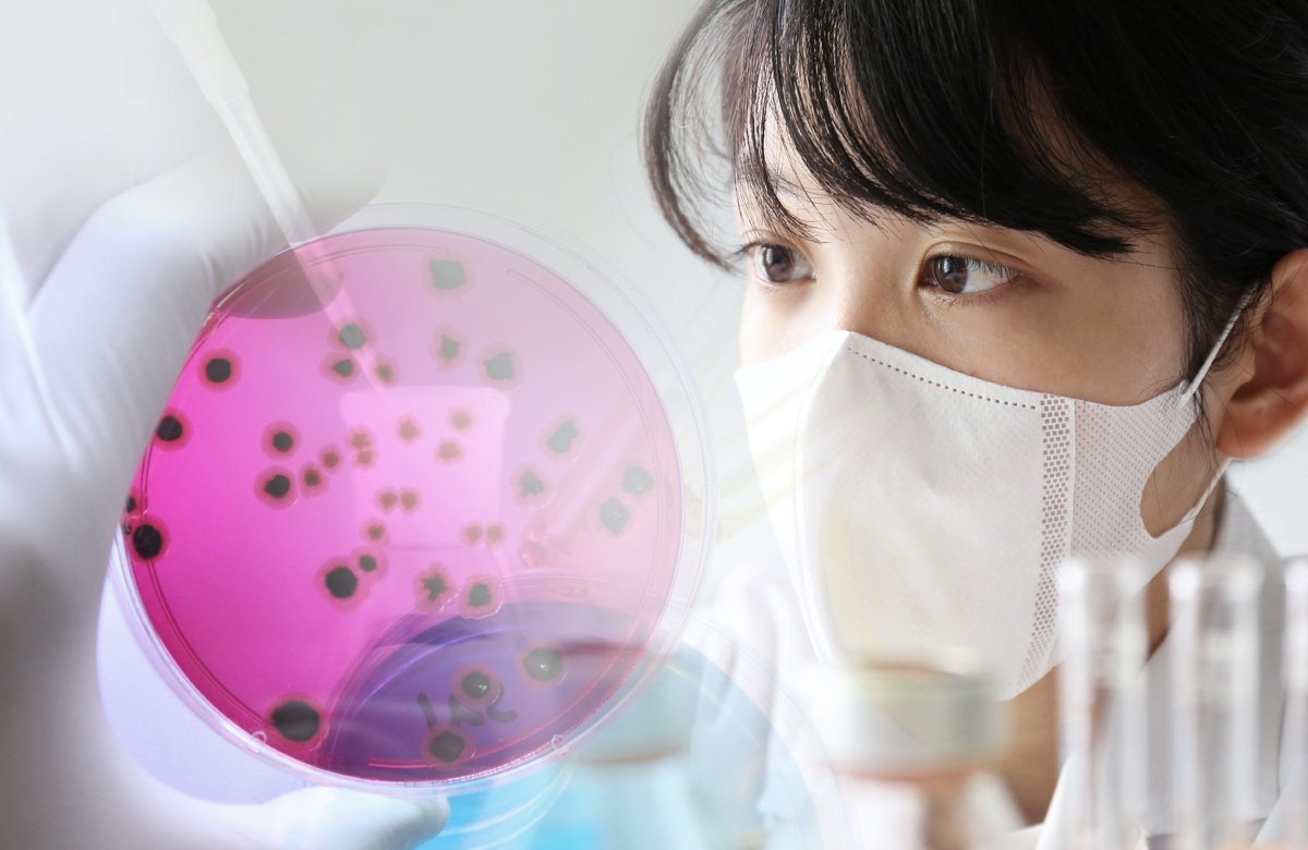 UV-C殺菌効果が確認されている微生物の例