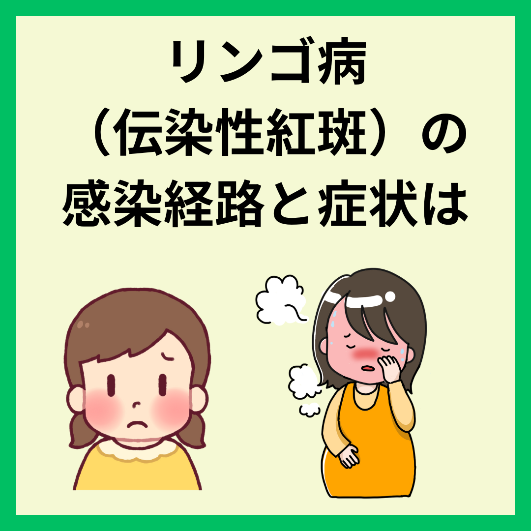 【リンゴ病（伝染性紅斑）が急拡大中https://b！大人や妊婦にも影響が…ウイルス対策は今すぐに】